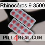 Rhinocéros 9 3500 19